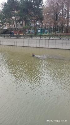 Прикрепленное изображение: 133190962_531151464524312_3127952411965247644_o.jpg